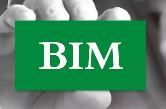 BIM技术概述,BIM的特征BIM的特征